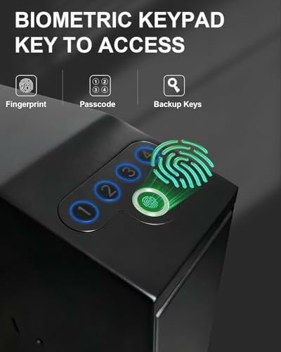 Biometric keypad with fingerprint, passcode, and backup key options.